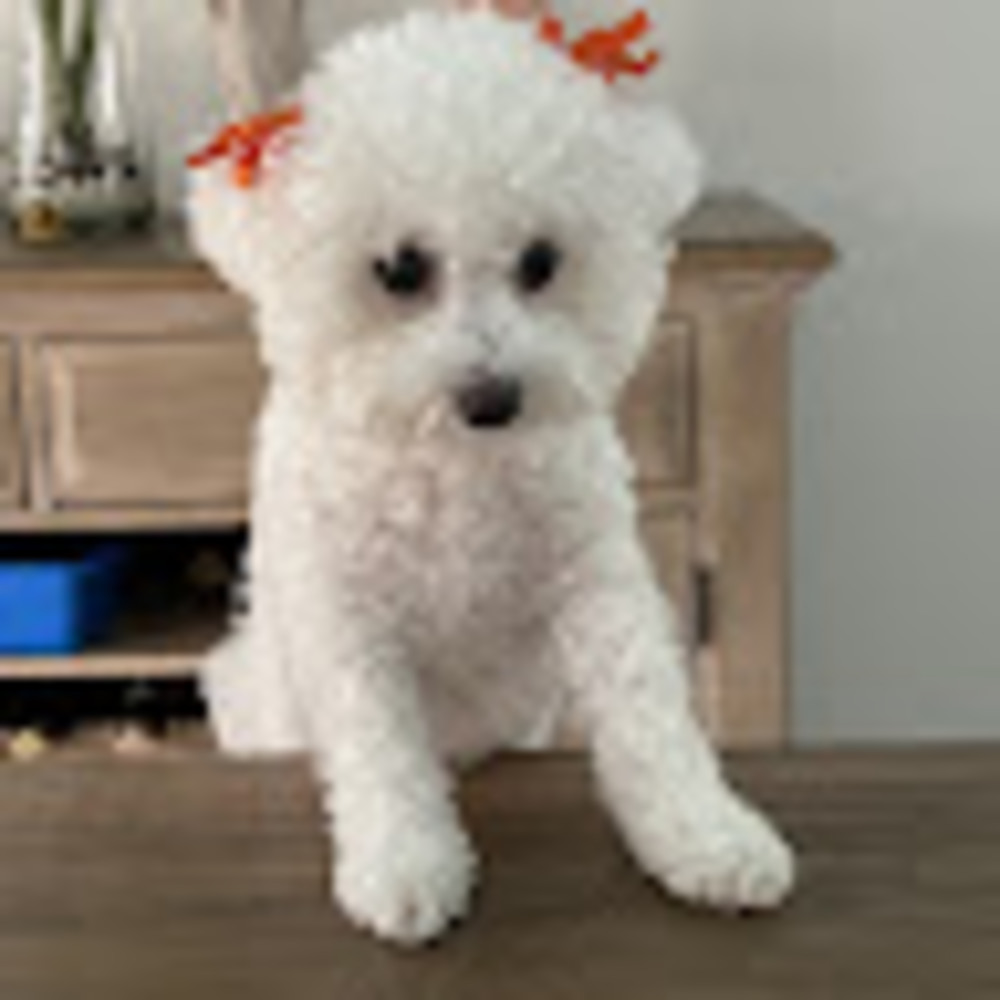 Meet your Posher, Cadel berlin